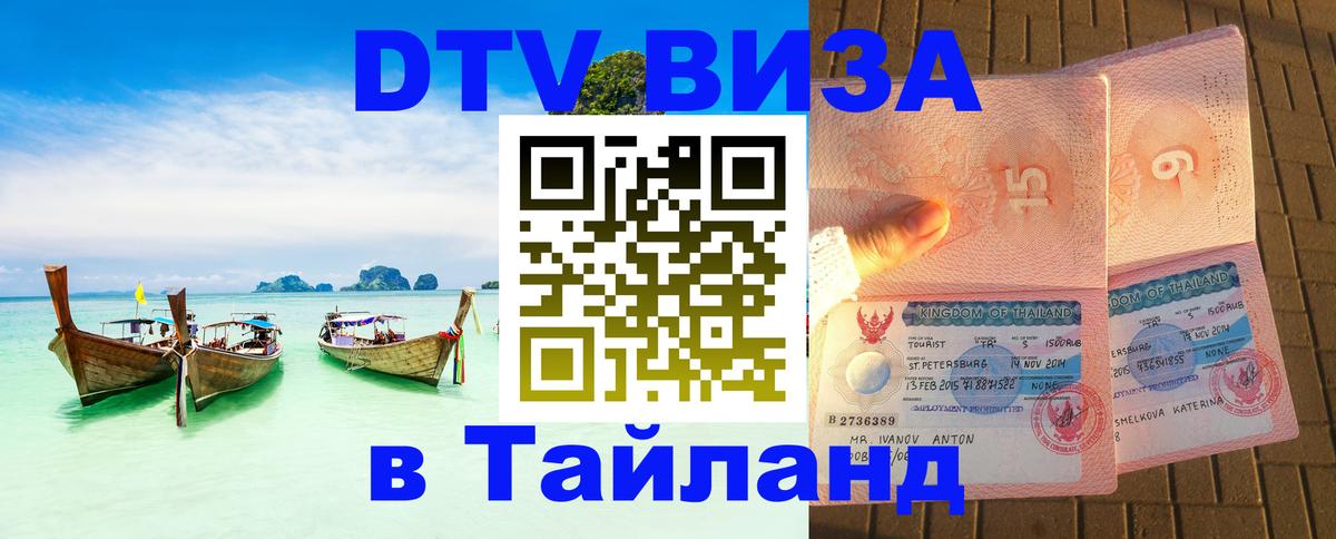 Сколько стоит DTV виза — актуальные цены, оформление даже без документов - Рубцовск  20.11.2025 
